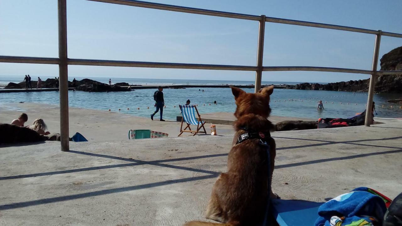 Atlantica Βίλα Bude Εξωτερικό φωτογραφία
